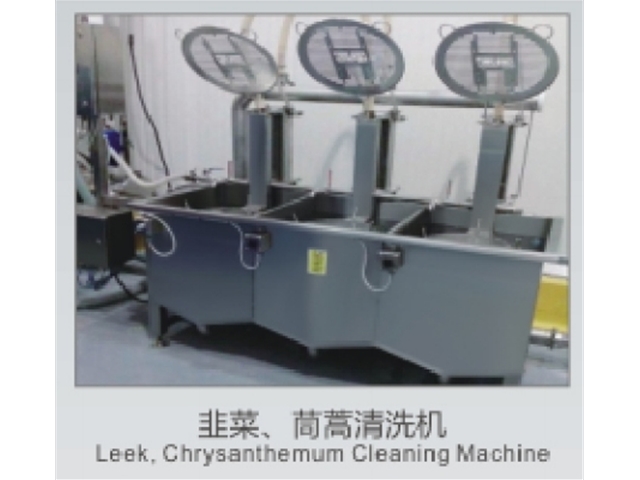韭菜、茼蒿清洗機(jī)